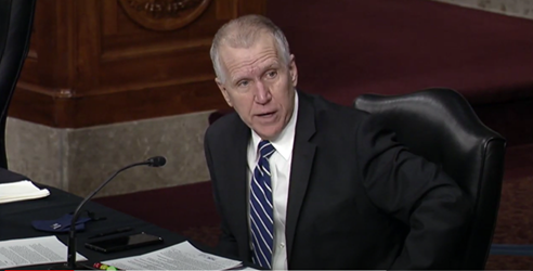 Tillis, Judiciary Republicans Push Back on DOJ Overreach of Policing Parents' Fr…